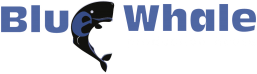 BLUE WHALE